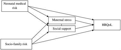 Health-related quality of life in children born preterm at school age: the mediating role of social support and maternal stress